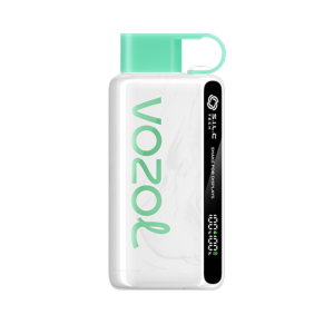 Vozol 12000 Puff Cool Mint