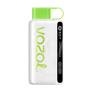 Vozol 12000 Puff Strawberry Kiwi